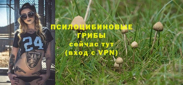 прущие крисы Алзамай