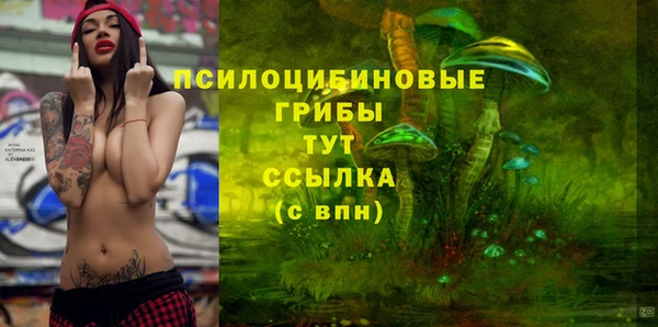 mdpv Алексин
